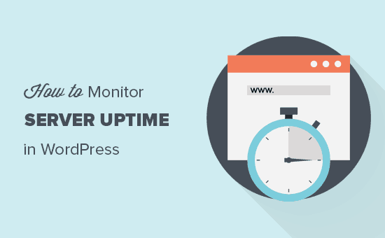 Monitoraggio del tempo di attività del server WordPress