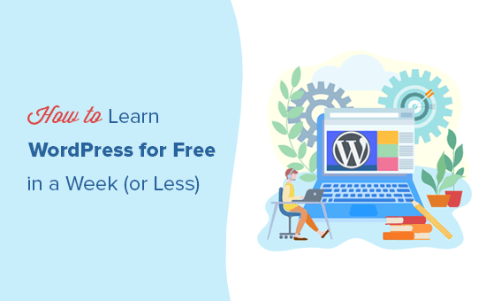 Come imparare facilmente WordPress gratuitamente in una settimana