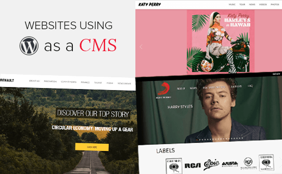 WordPress come CMS: 25 esempi usando WordPress come CMS
