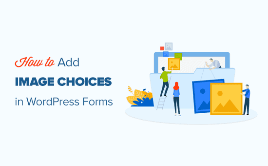 How to easily add image choices in a WordPress form