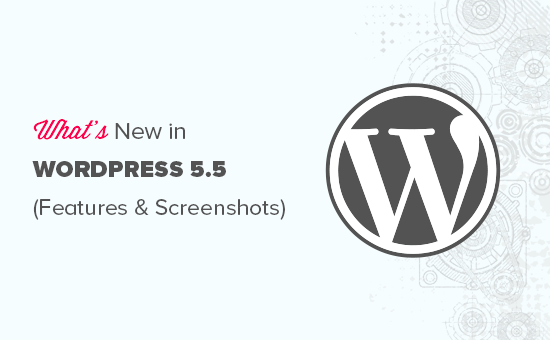 Funzionalità e screenshot di WordPress 5.5