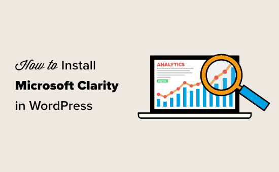 Installing Microsoft Clarity Analytics in WordPress