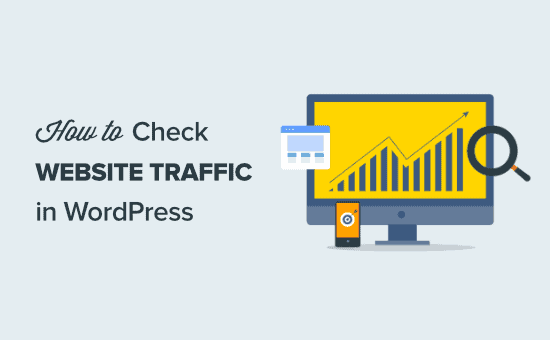 How to check website traffic for any site (7 tools)