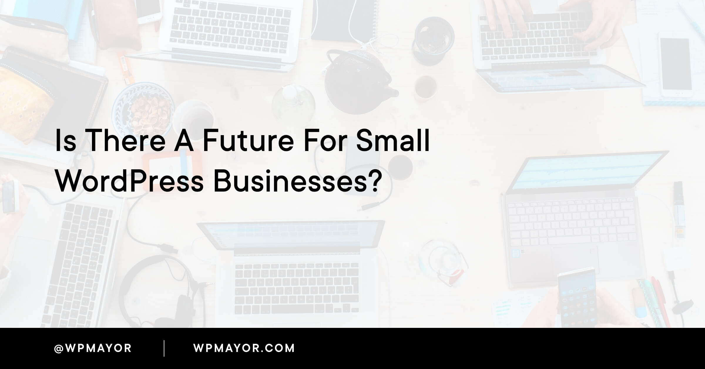 C'è un futuro per le piccole aziende WordPress?