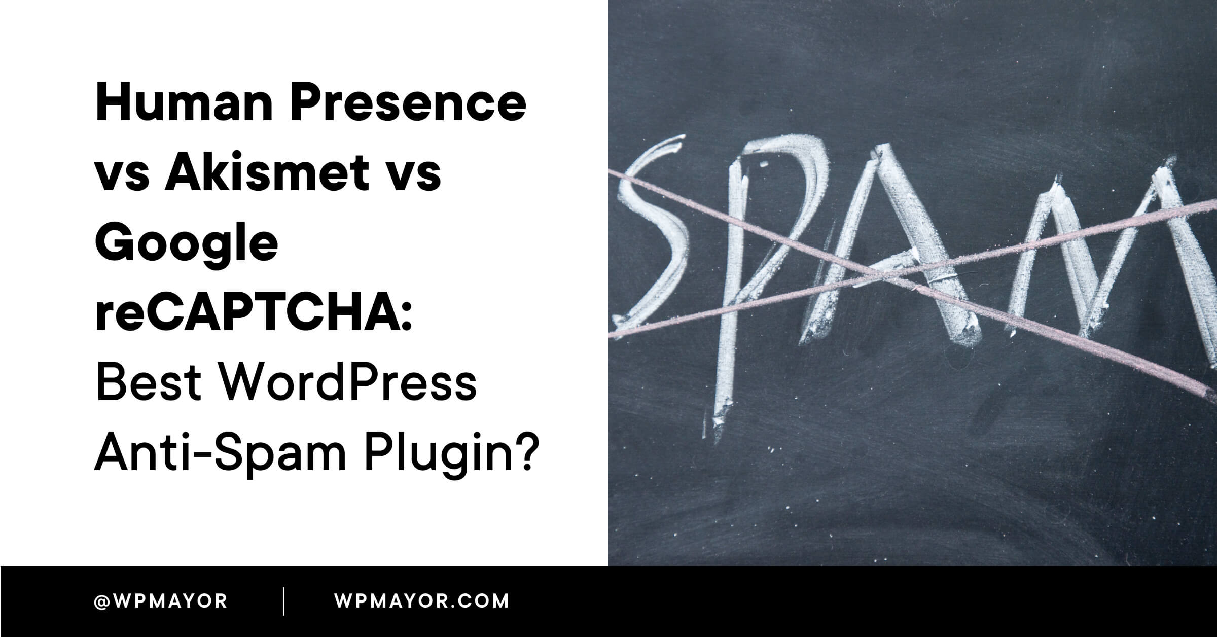 Human Presence vs Akismet vs Google reCAPTCHA per WordPress Spam