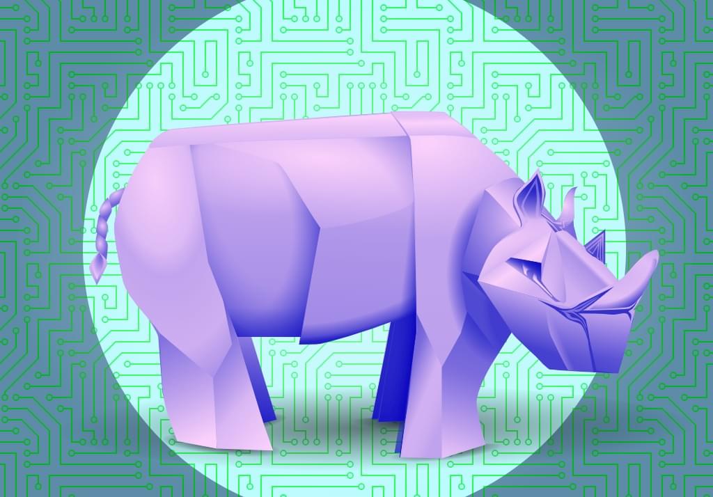 SitePoint NFTs - o come abbiamo fatto galleggiare i rinoceronti su OpenSea
