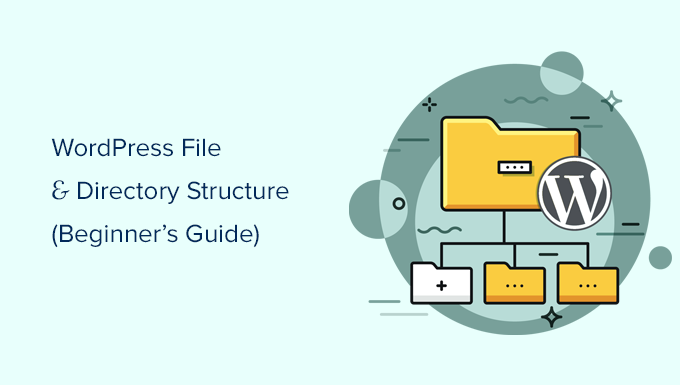 Spiegazione della struttura di file e directory di WordPress per i principianti
