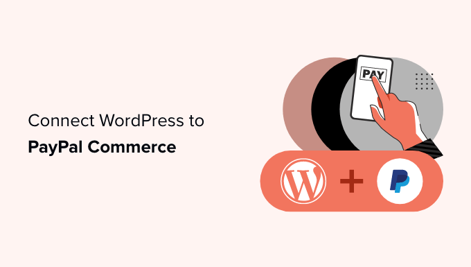 Collega facilmente WordPress a PayPal Commerce