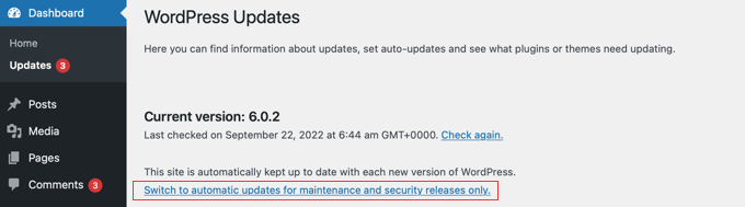 Disabilita gli aggiornamenti automatici di WordPress eccetto gli aggiornamenti di sicurezza