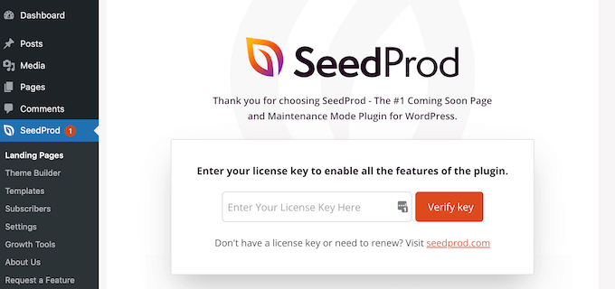 Immissione della chiave di licenza SeedProd