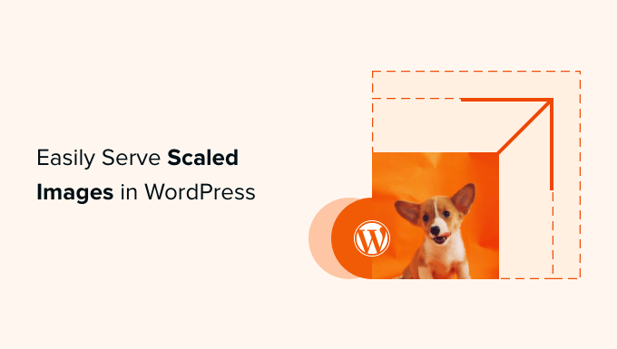 Come servire facilmente immagini in scala in WordPress (passo dopo passo)