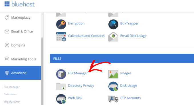 Apri il file manager in Bluehost
