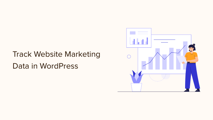 Dati di marketing del sito Web che devi monitorare sul sito WordPress