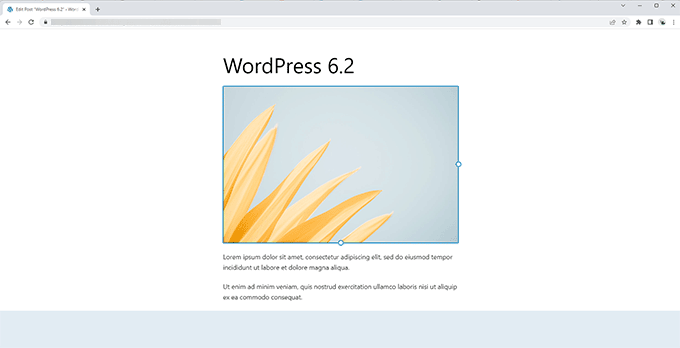 Editor senza distrazioni in WordPress 6.2