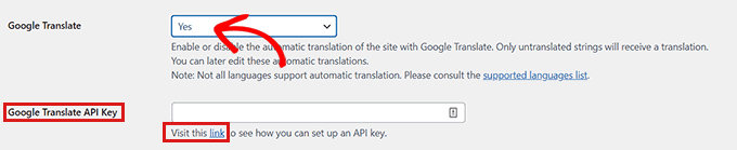 Fornisci l'API di Google Translate se desideri attivarla