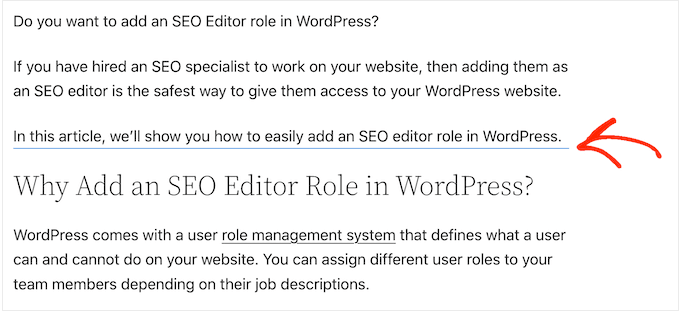 Un divisore personalizzato creato utilizzando l'editor di blocchi di WordPress