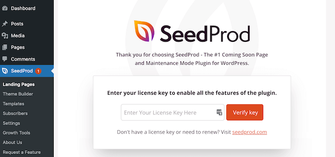 Aggiunta di una chiave di licenza a SeedProd