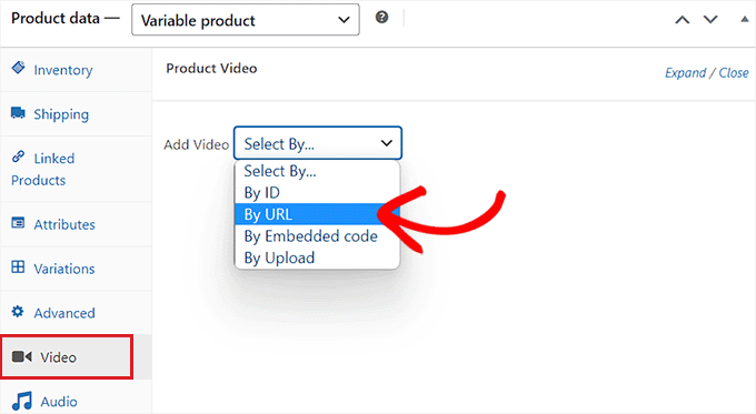Passa alla scheda Video e scegli l'opzione Per URL dal menu a discesa
