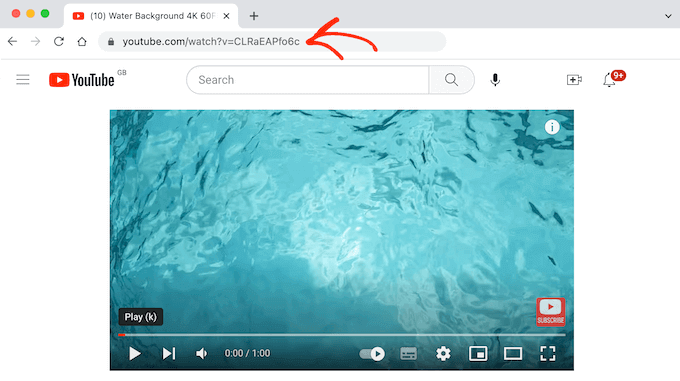 Ottenere l'URL di un video di YouTube