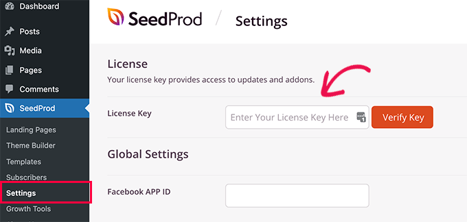 Aggiunta di una chiave di licenza SeedProd a WordPress