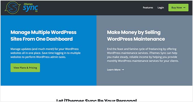 Sincronizzazione iThemes