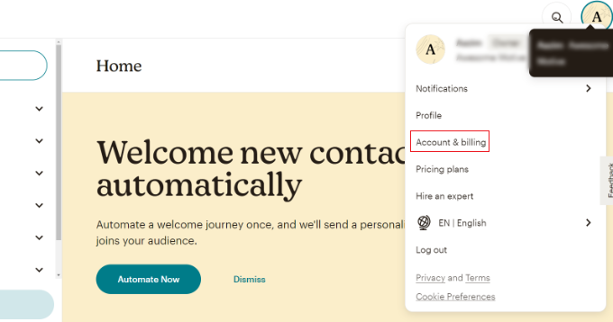 Fai clic sul tuo avatar Mailchimp