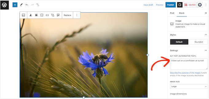 Aggiunta di testo alternativo a un'immagine WordPress