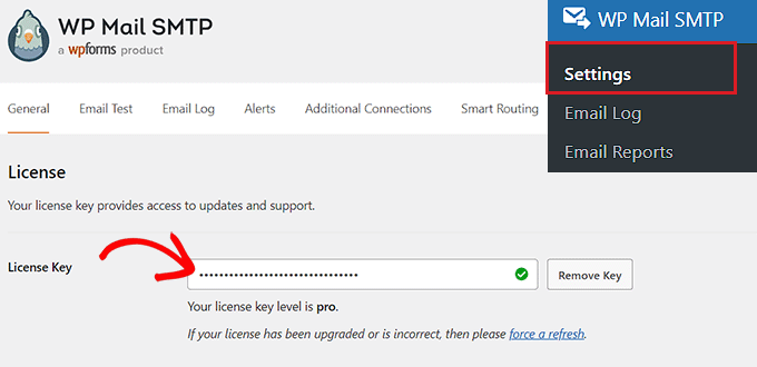 Digita la chiave di licenza SMTP di WP Mail nel campo