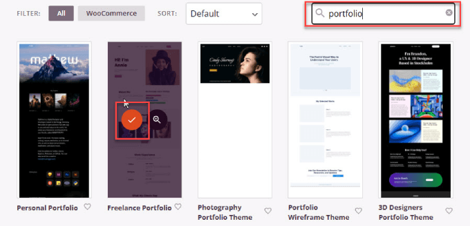 Tema del portfolio online in SeedProd