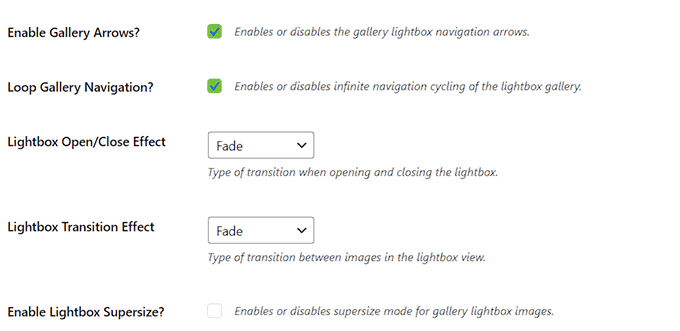 Configura altre opzioni lightbox in Envira Gallery