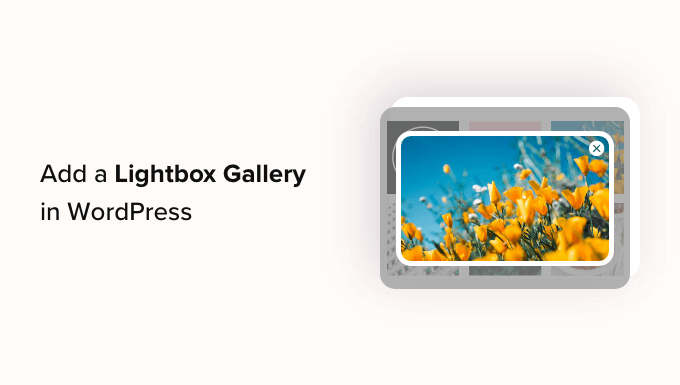 Aggiungi una galleria in WordPress con un effetto lightbox