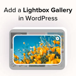 Come aggiungere una galleria in WordPress con un effetto lightbox