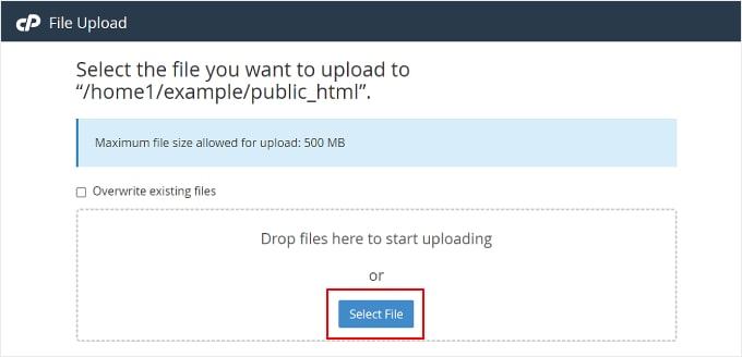 Inserimento di file nel File Manager di Bluehost