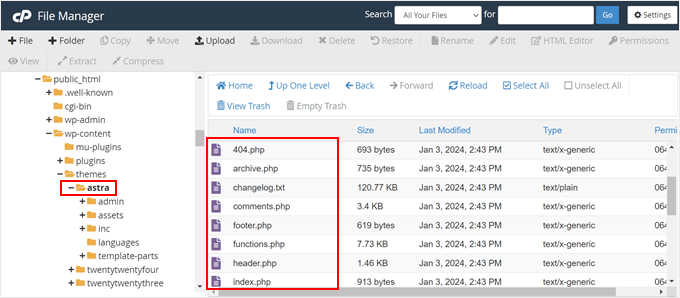 Un esempio di come appaiono i file dei temi WordPress nel file manager Bluehost