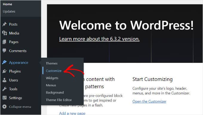 Selezionando l'impostazione Personalizza dal menu Aspetto di WordPress