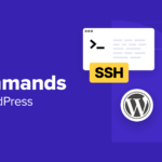 16 comandi SSH che ogni utente WordPress dovrebbe conoscere