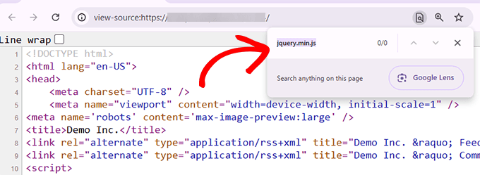 Cerca jQuery nel codice sorgente